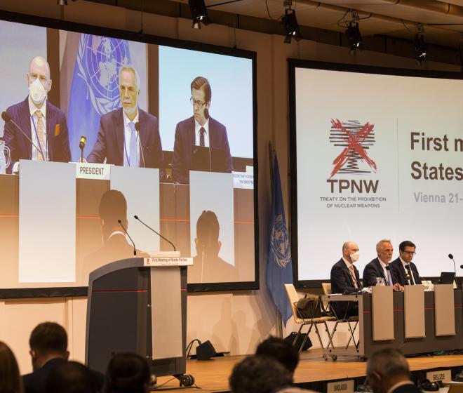 Statement to the TPNW MSP on victim assistance, environmental remediation and international cooperation and assistance