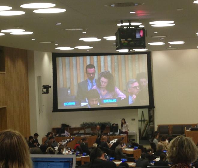 124 states sign on to humanitarian statement on nuclear weapons  