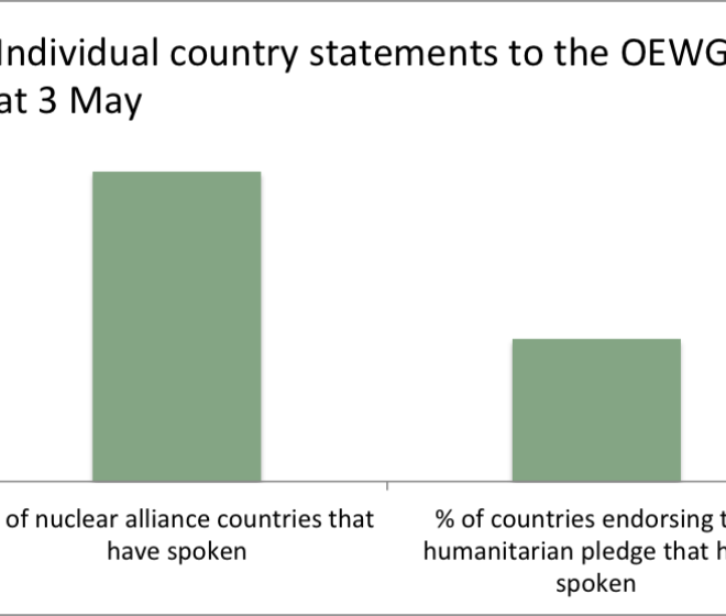 UN nuclear talks: imbalances and underrepresentation in discussion