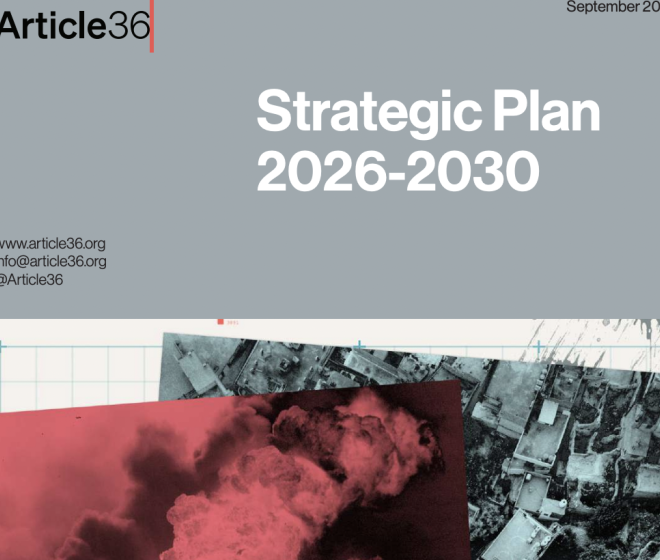 Article 36 Strategic plan: 2026-2030